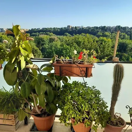 Conca D'oro 212 דירה